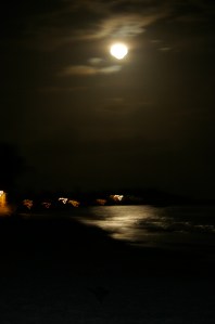 Moon Night